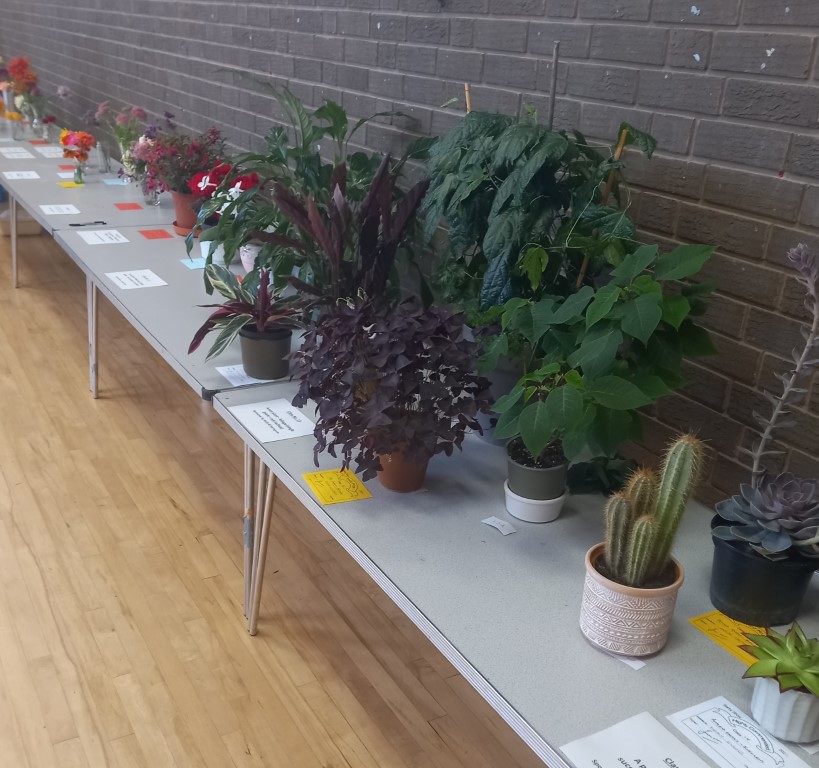 2022 Produce Show