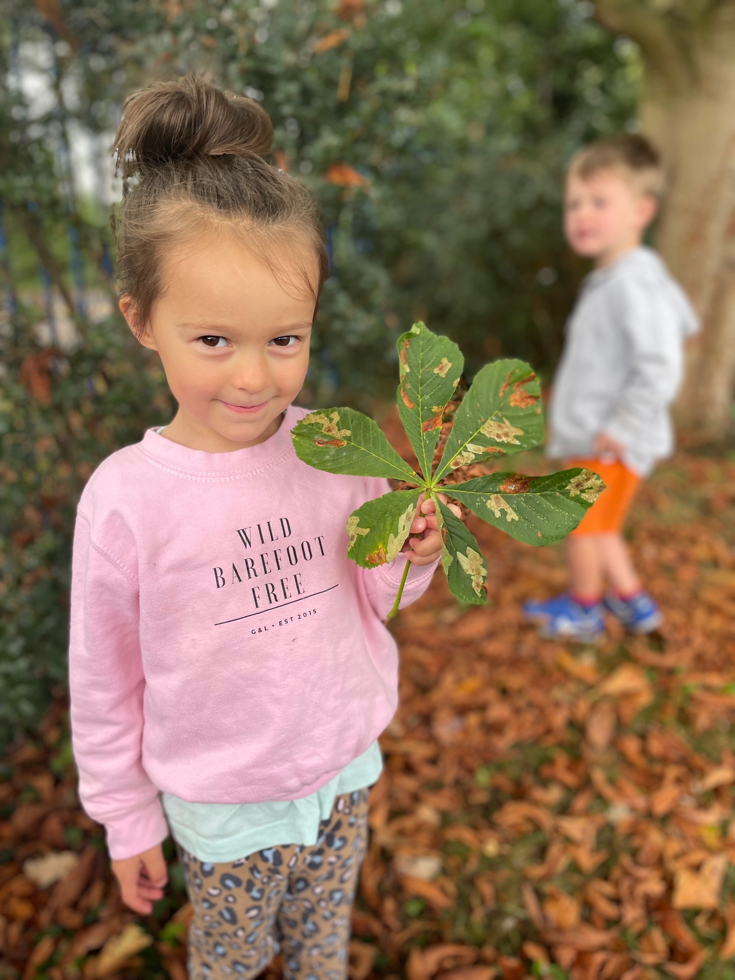 Wildlings Preschool