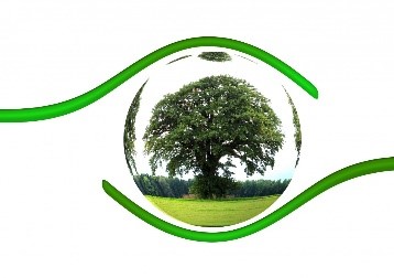 Bolster Logo