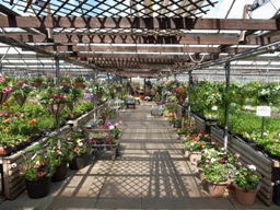 Barby Nurseries
